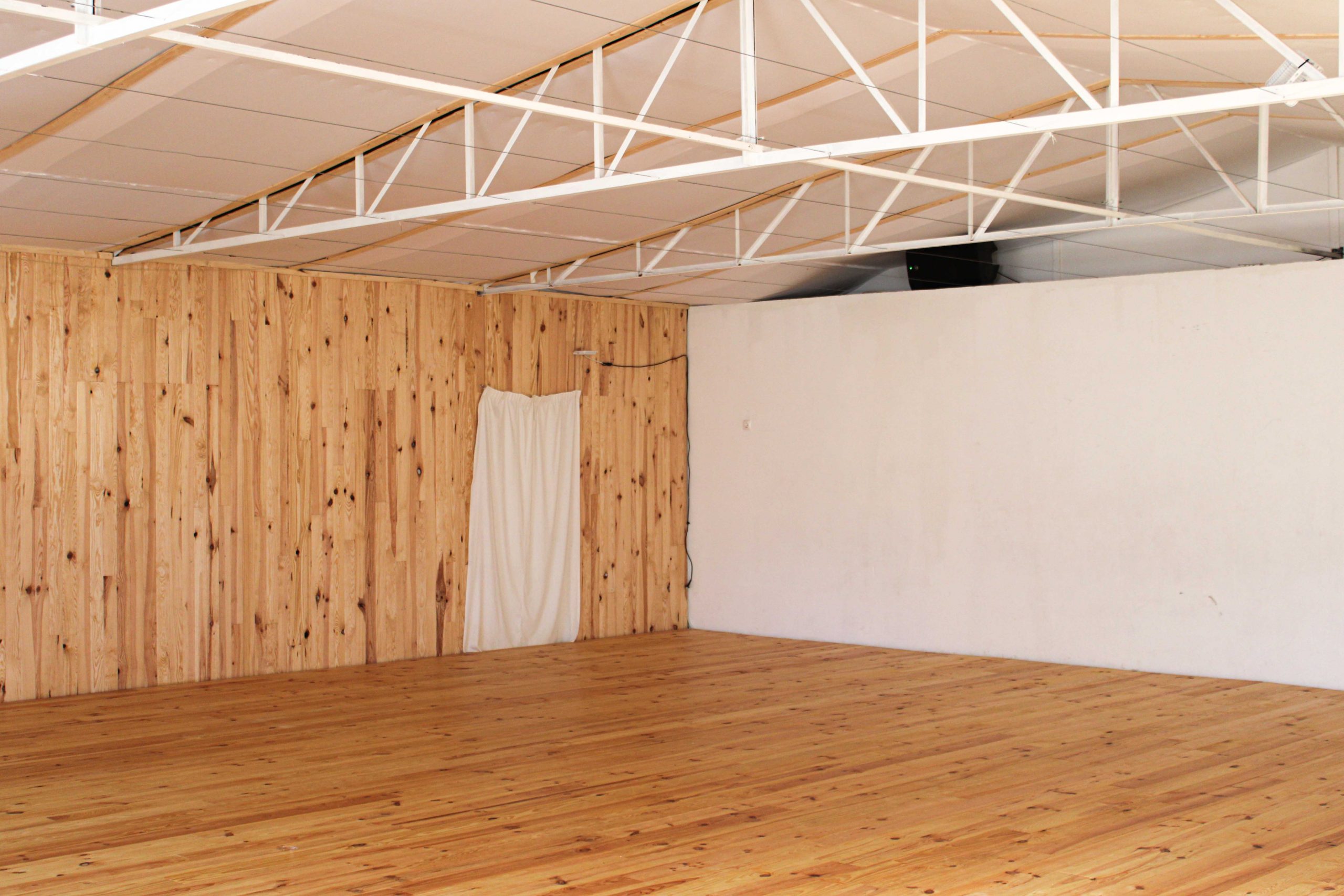 SerVivo Studio SerVivo Studio