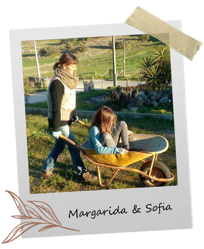 Margarida-2 Margarida-2